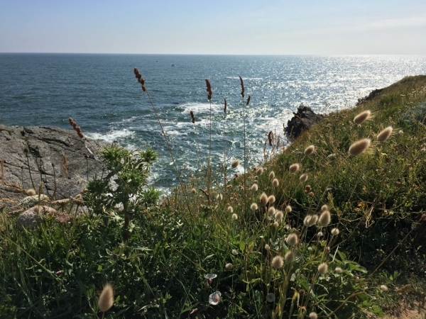 Travailleur de Lumière et Serviteur